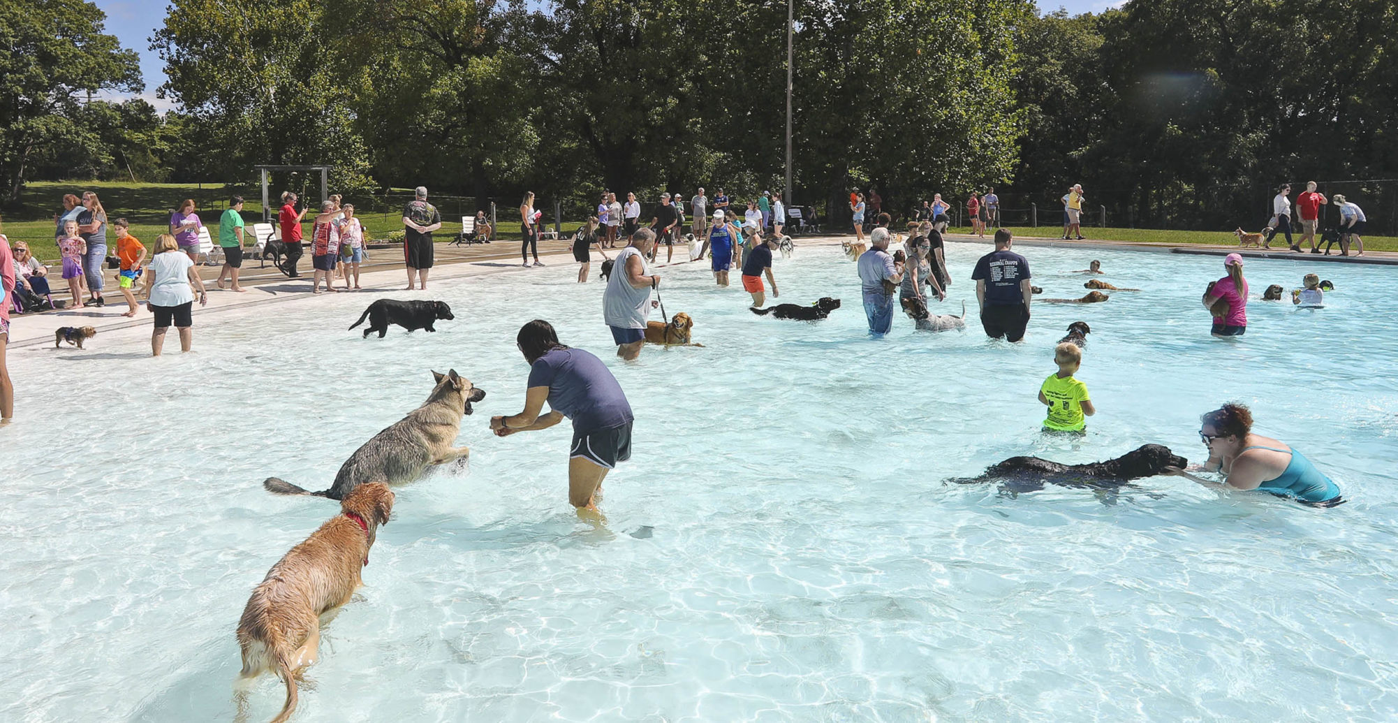 Fairview_Dog 09.07.19.JPG
